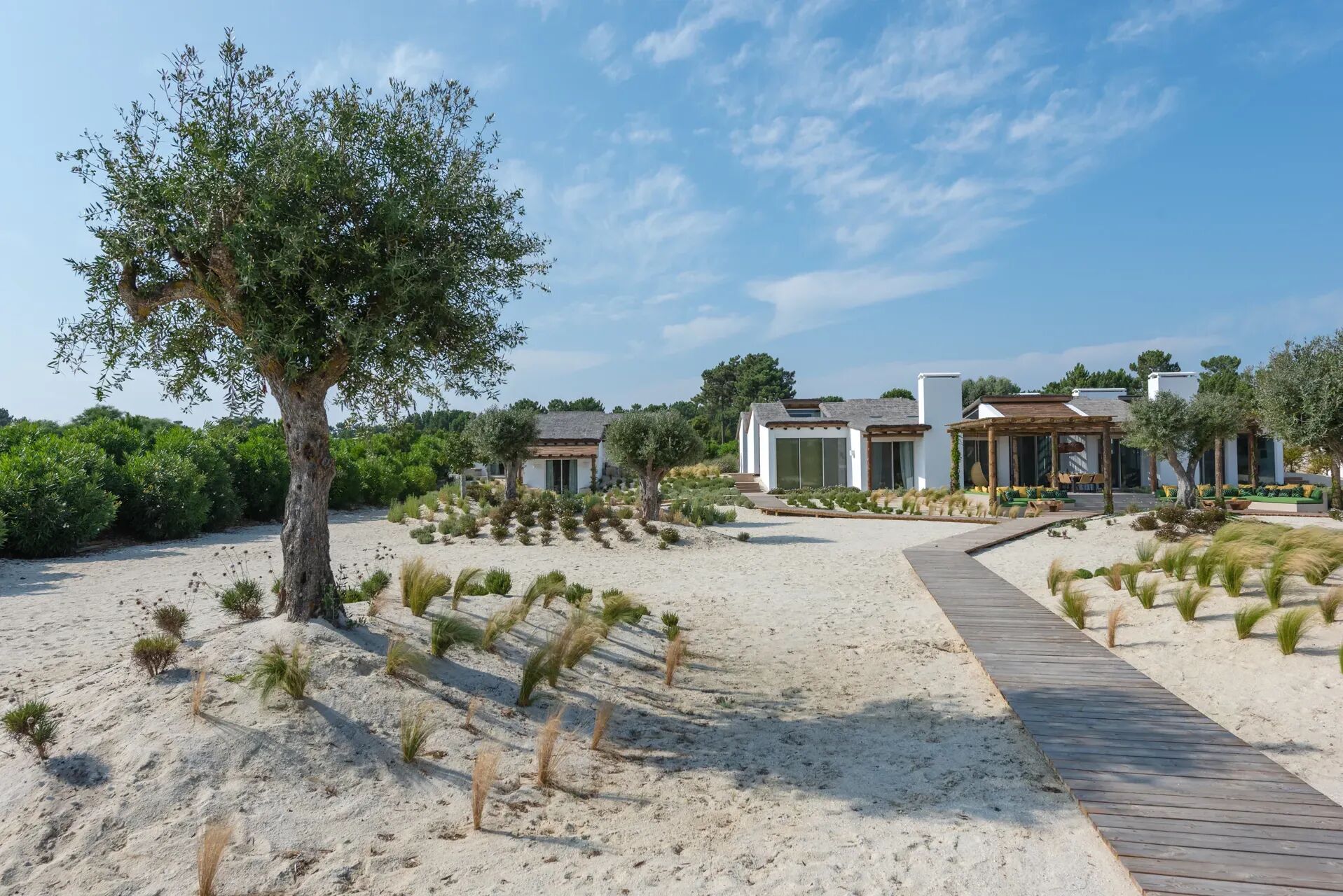 Villa Carragueira Gallary Image 3