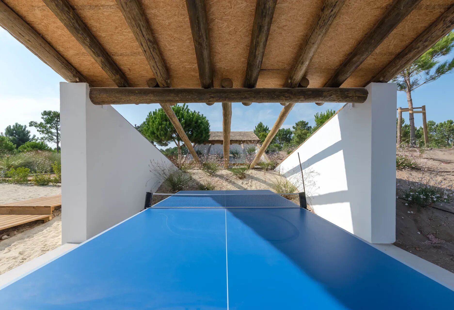 Villa Carragueira Gallary Image 3