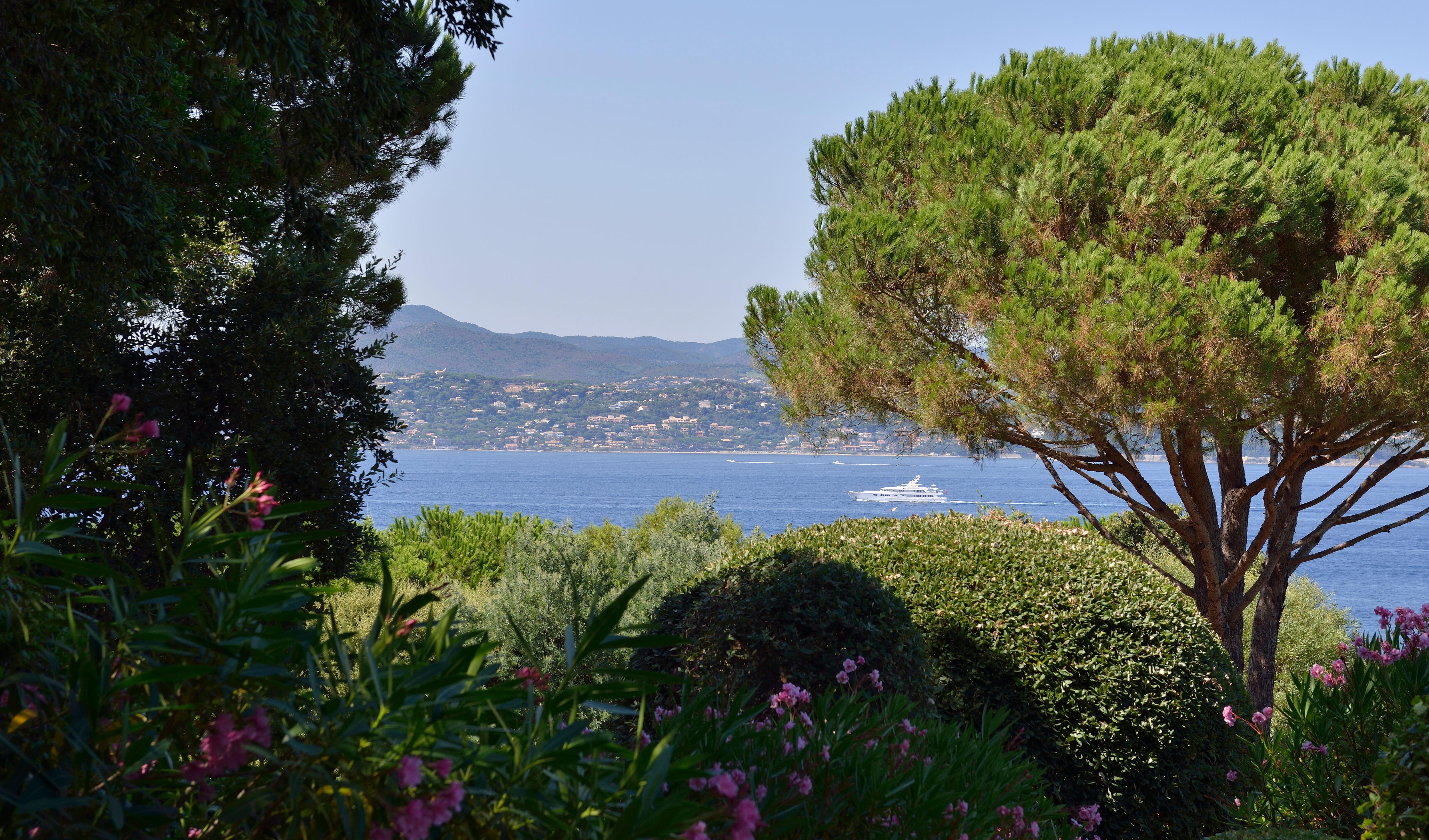 Villa Constanza Gallary Image 6