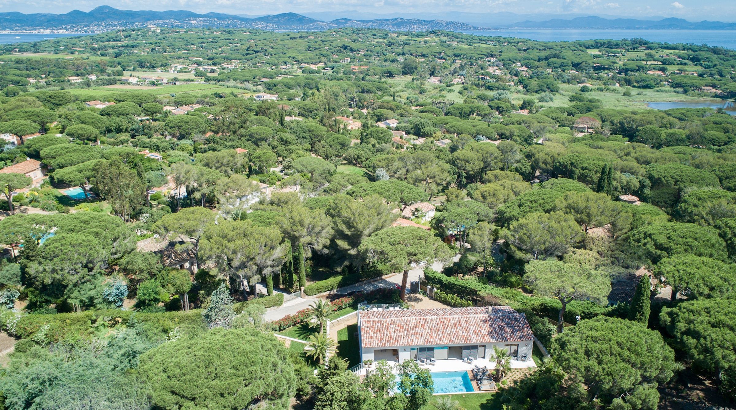 Villa Jungle Gallary Image 3