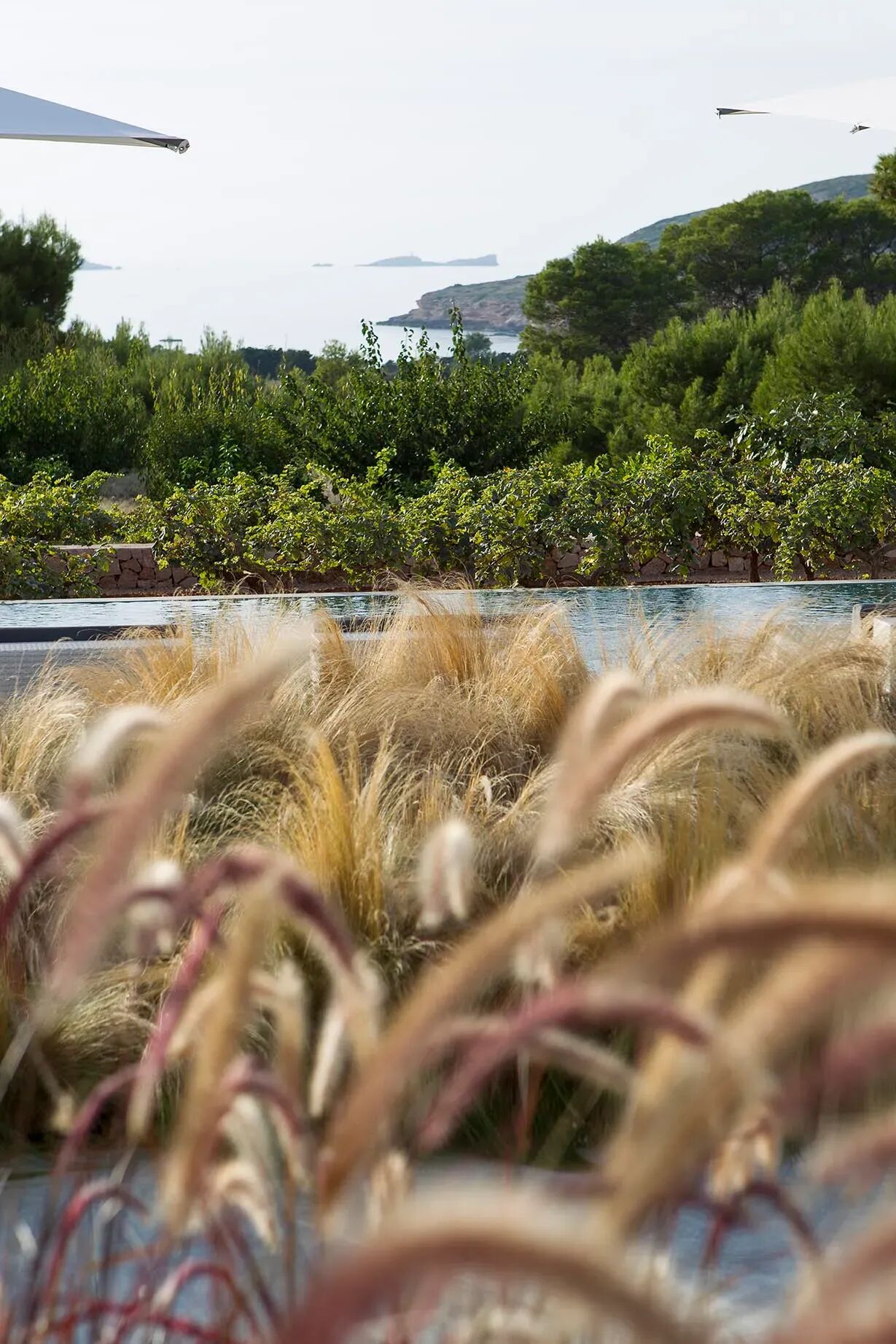 Villa Kristel Gallary Image 4