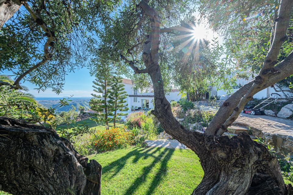 Villa Luisa Gallery Image 2