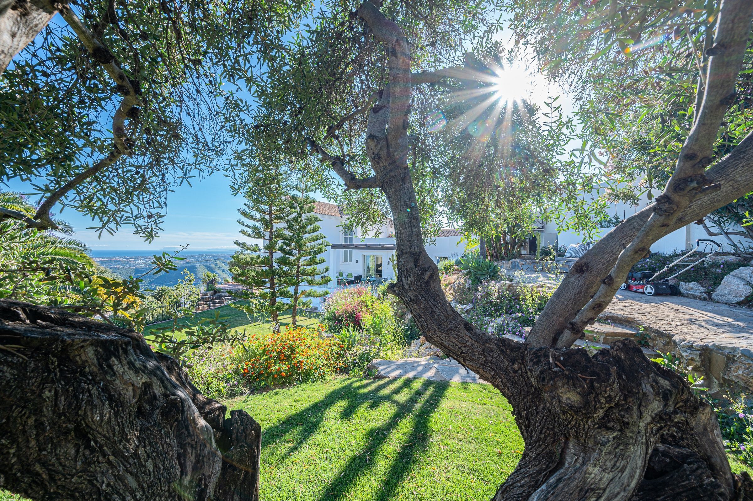 Villa Luisa Gallary Image 2