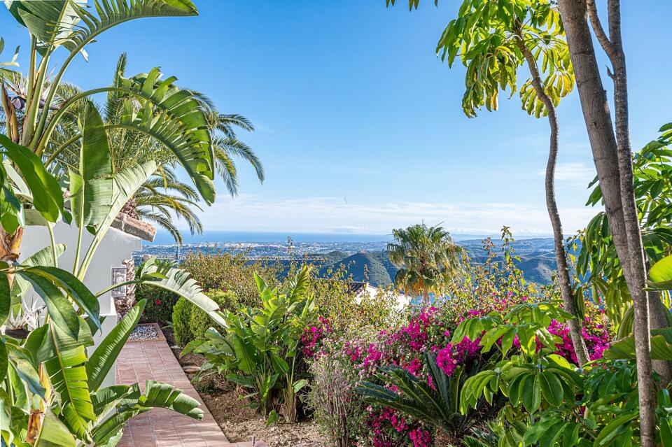 Villa Luisa Gallery Image 2