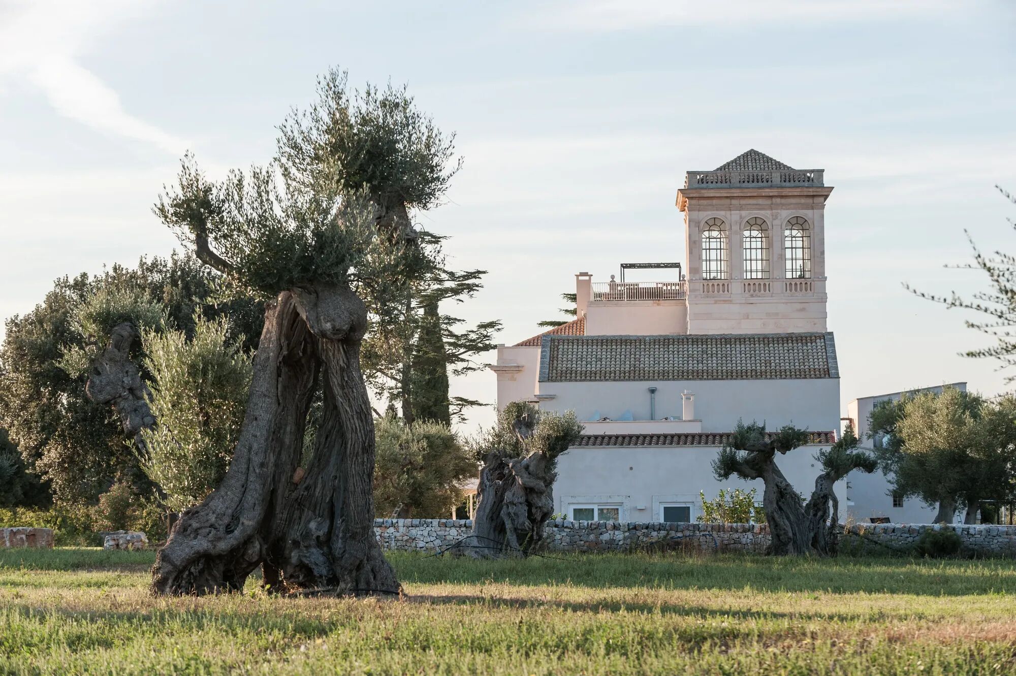 Villa Maestosa Gallary Image 2