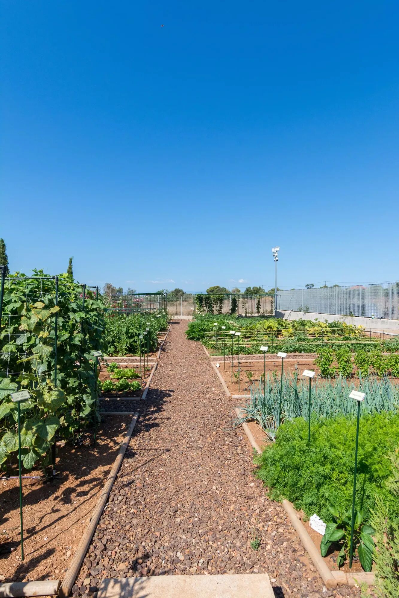 Villa Moudlemou Gallary Image 2