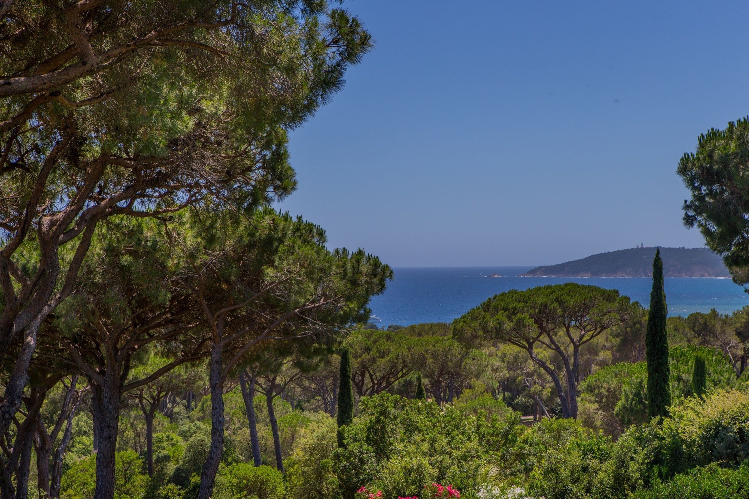 l-oasis-des-pins-image-8