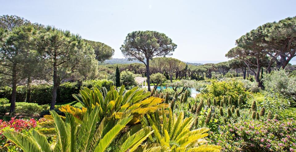 l'Oasis des Pins Gallery Image 3
