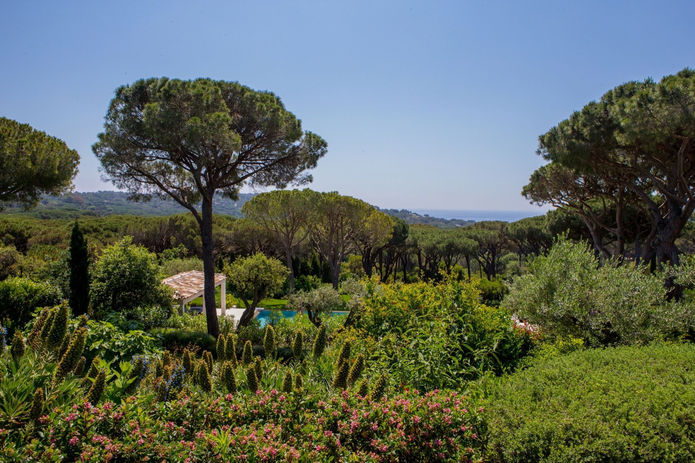 l'Oasis des Pins Gallary Image 1