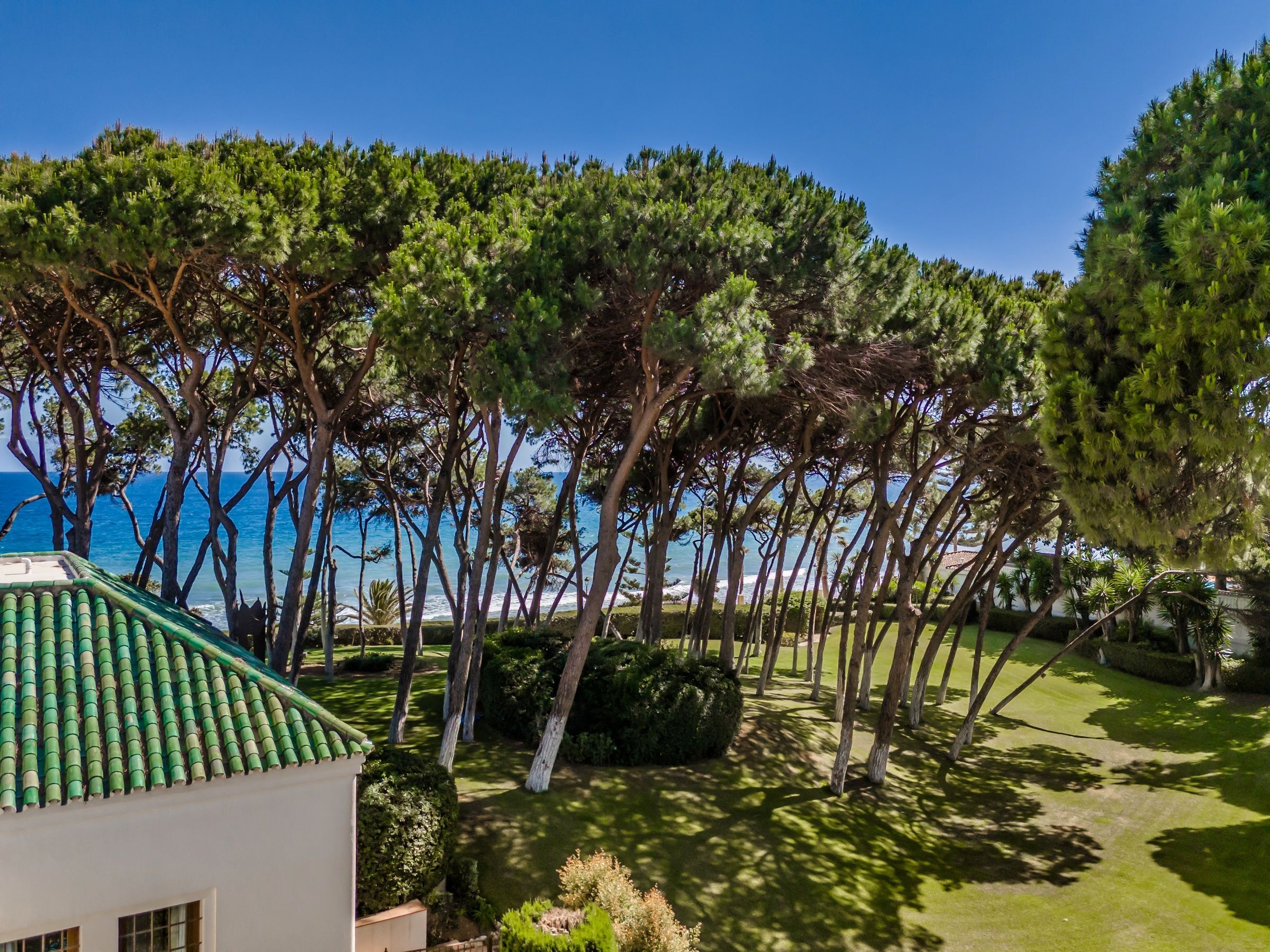 Villa Solana Gallary Image 5