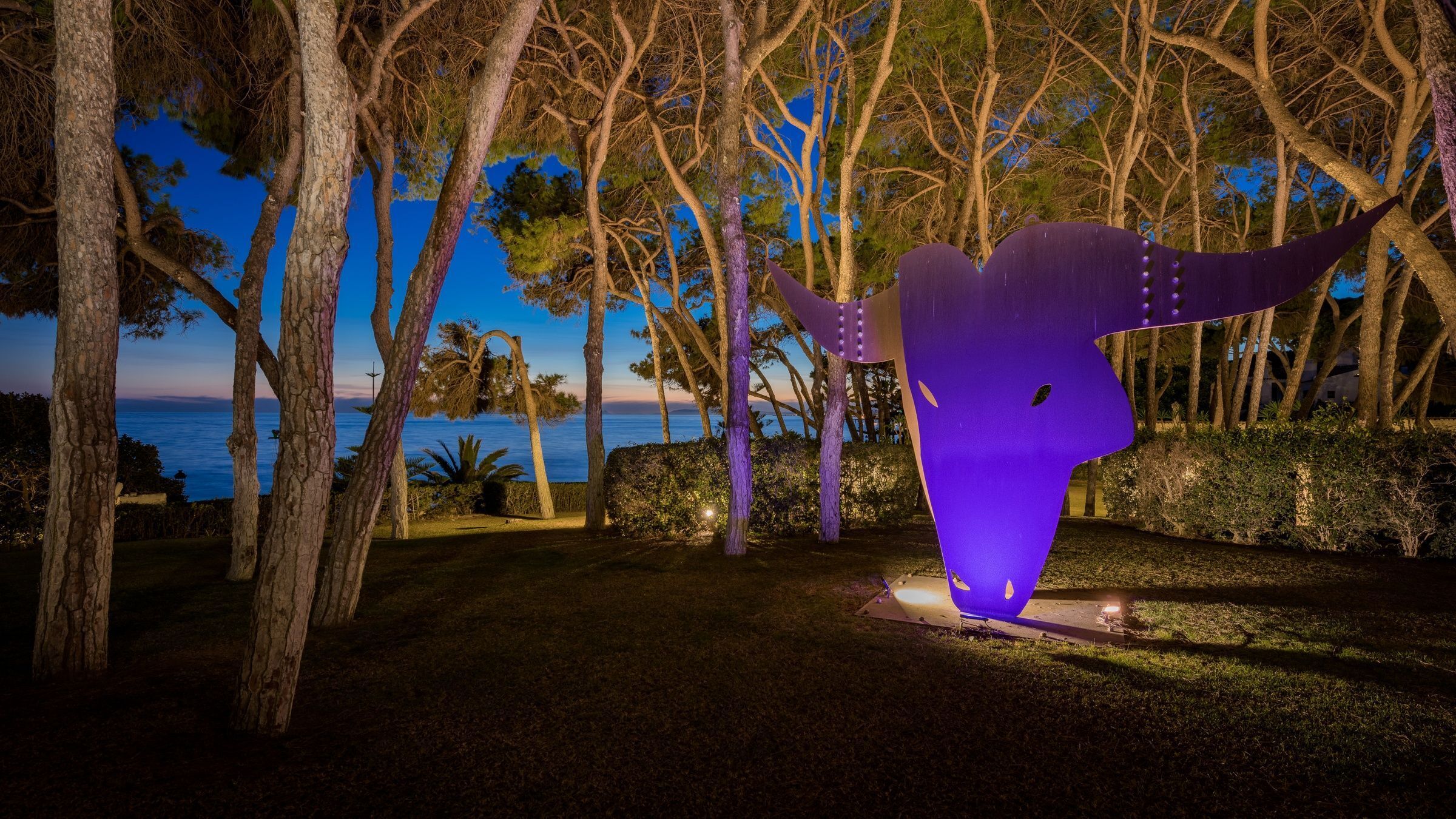 Villa Solana Gallary Image 2