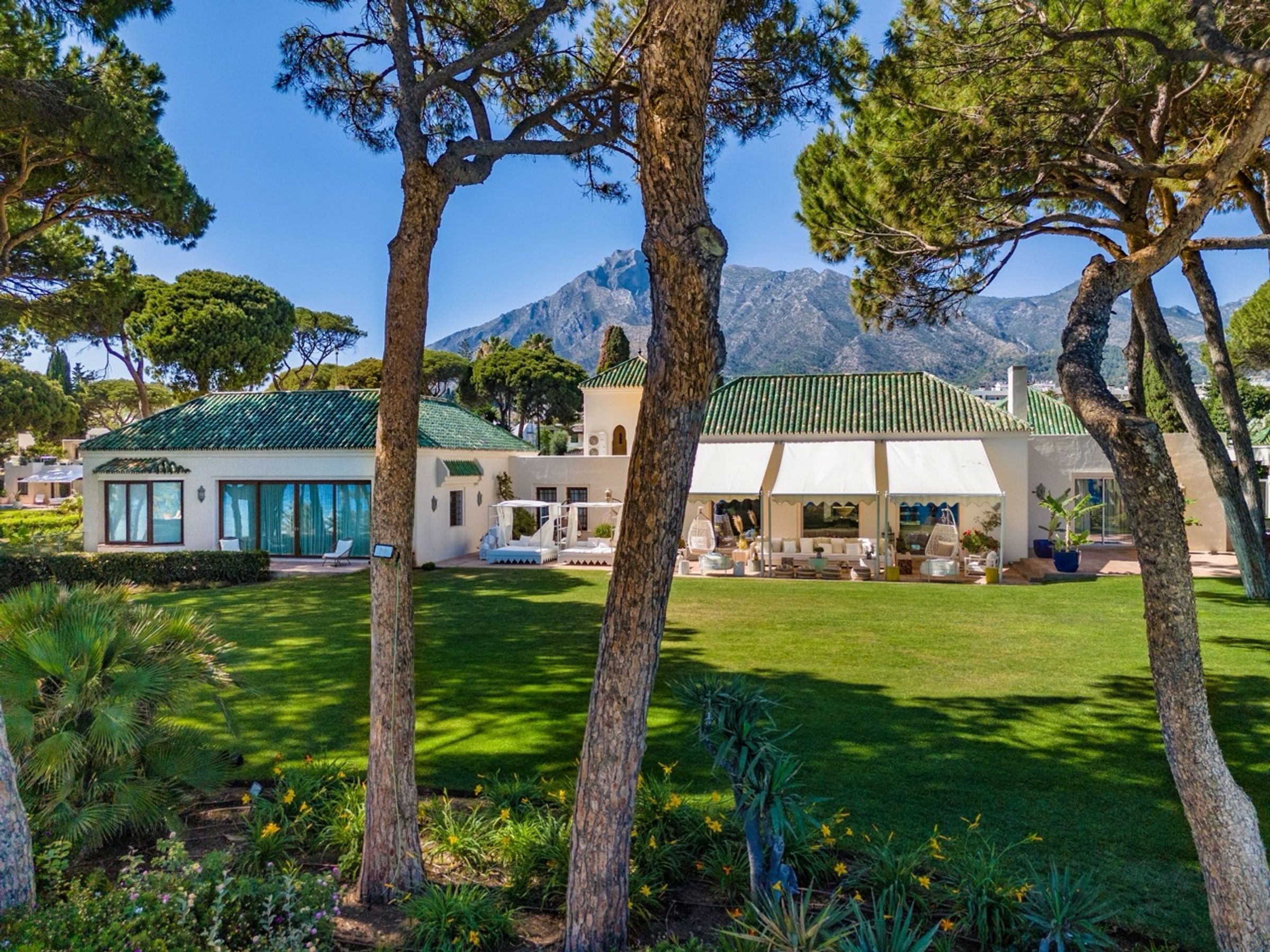 Villa Solana Gallary Image 6