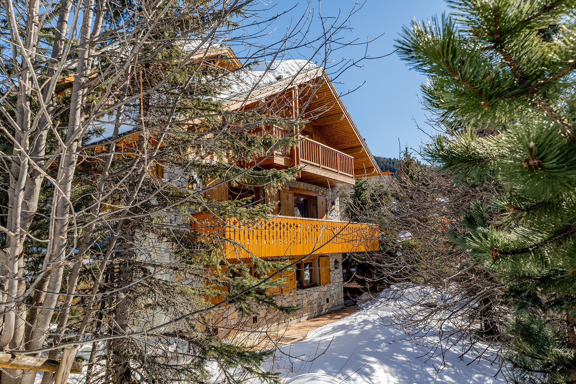 Chalet Foinsbois Gallary Image 2
