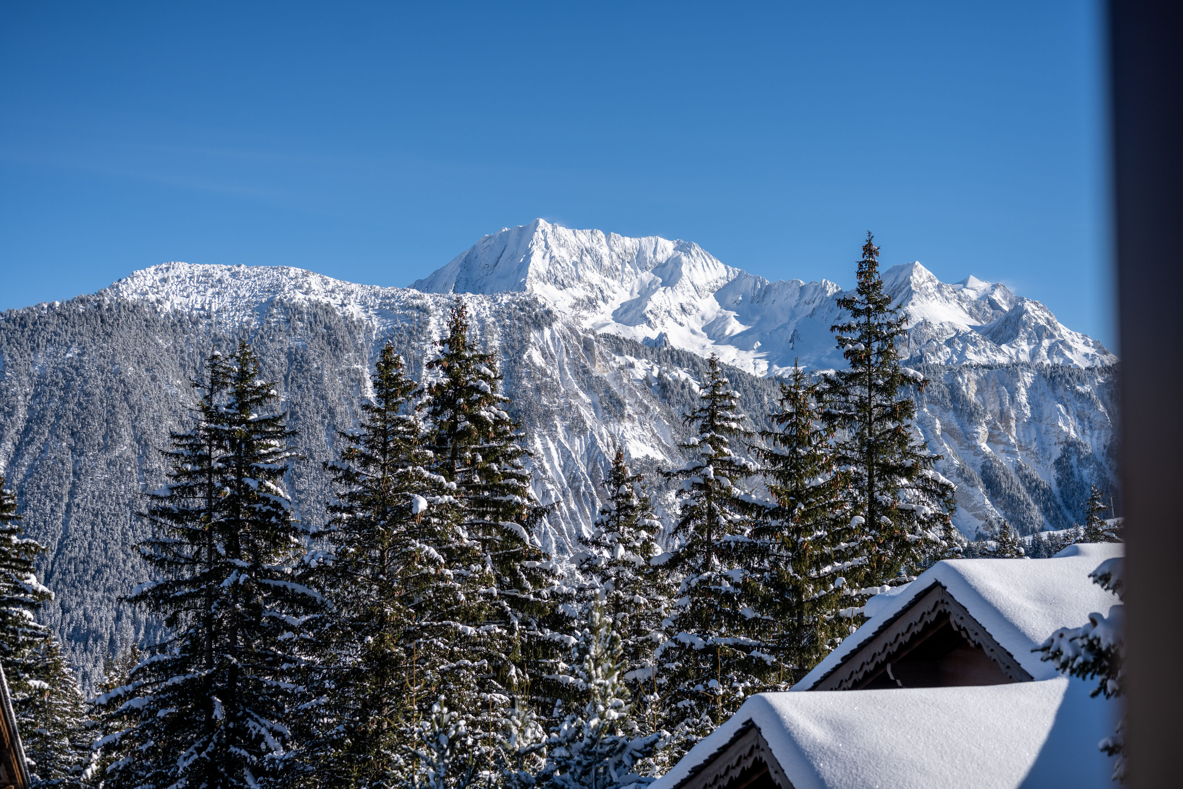 Chalet Margaux Gallary Image 4