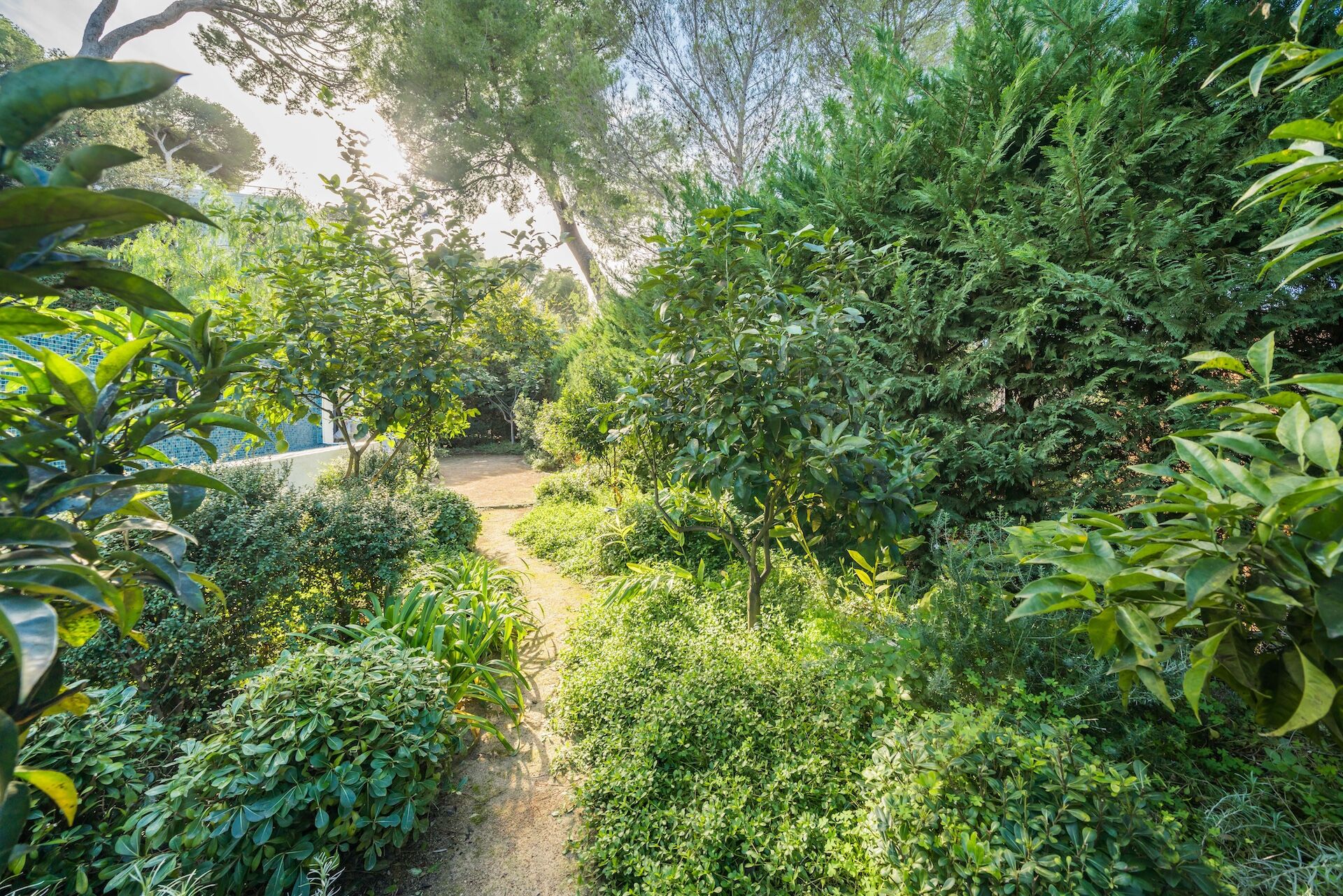 Villa Arista Gallary Image 3