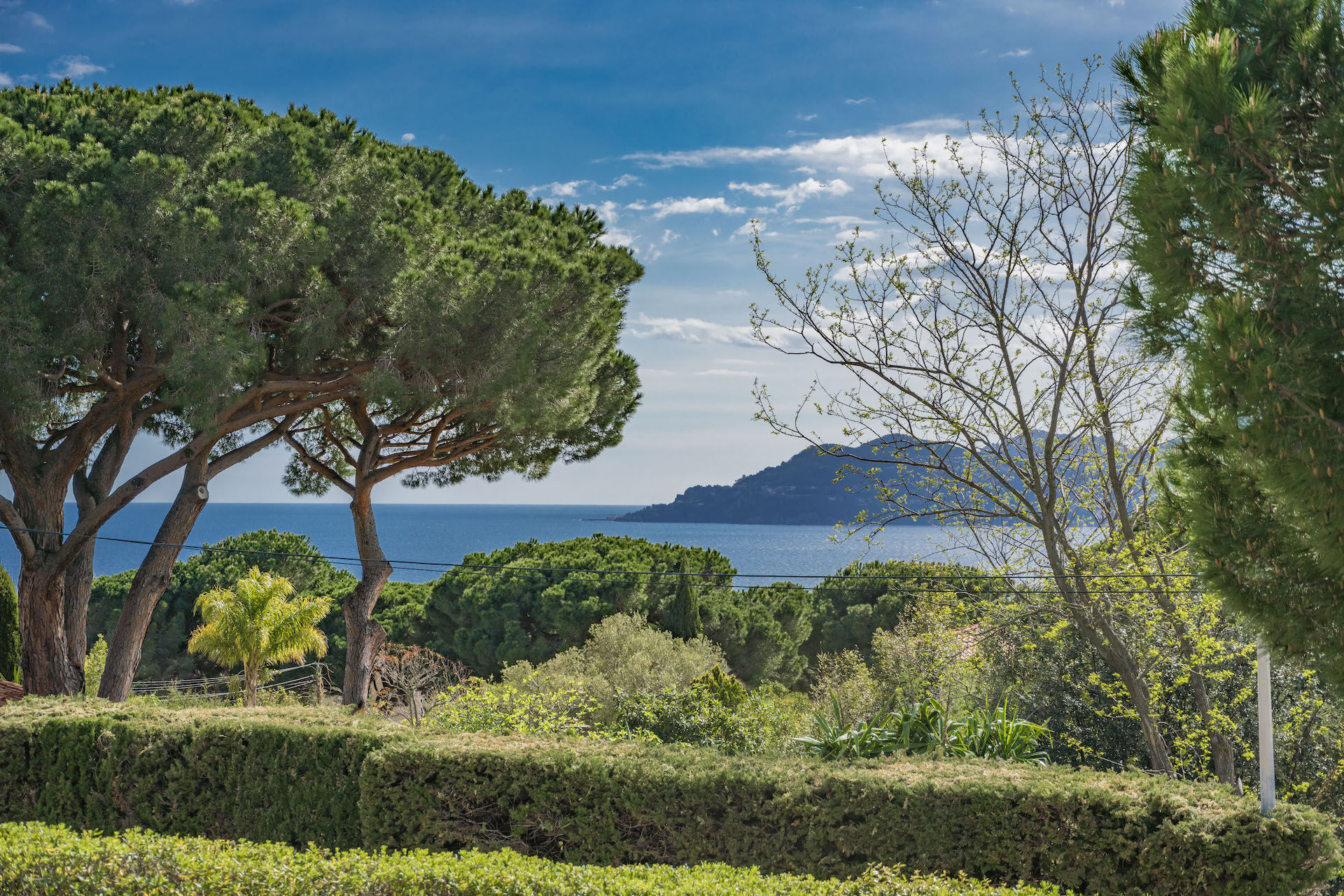 Villa Flora Gallary Image 2