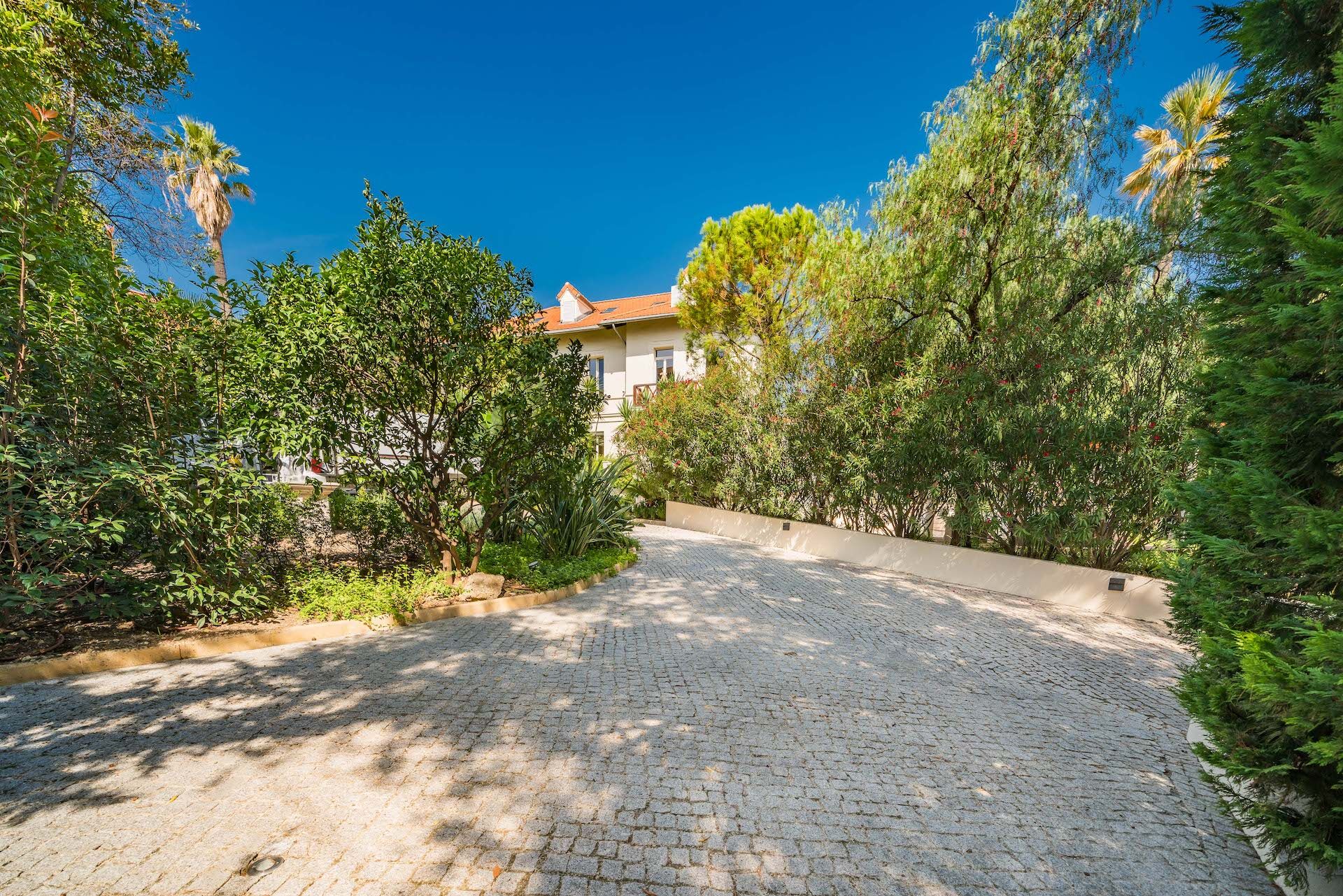 Villa Iris Gallary Image 4
