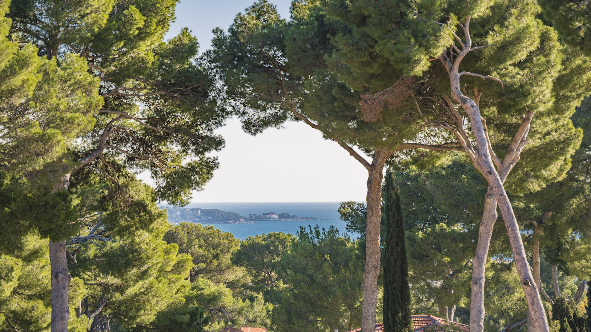 Villa Myrtle Gallary Image 2