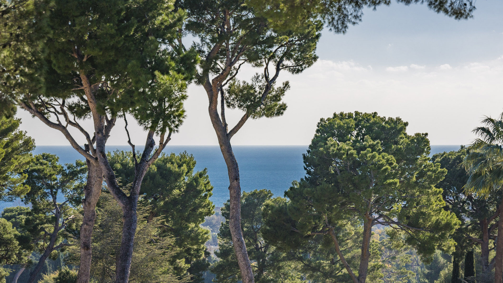 Villa Myrtle Gallary Image 3