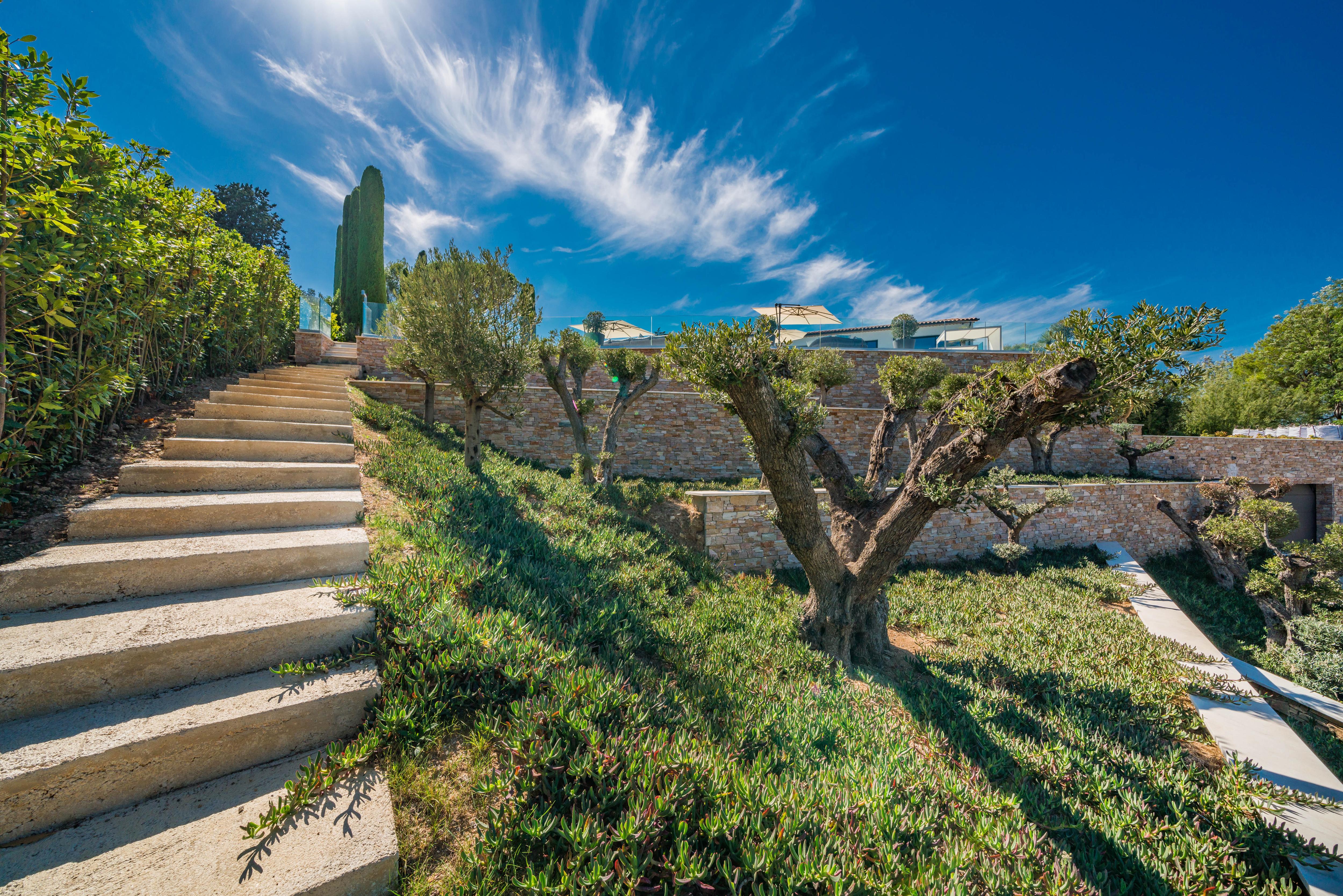 Villa Palmira Gallary Image 1