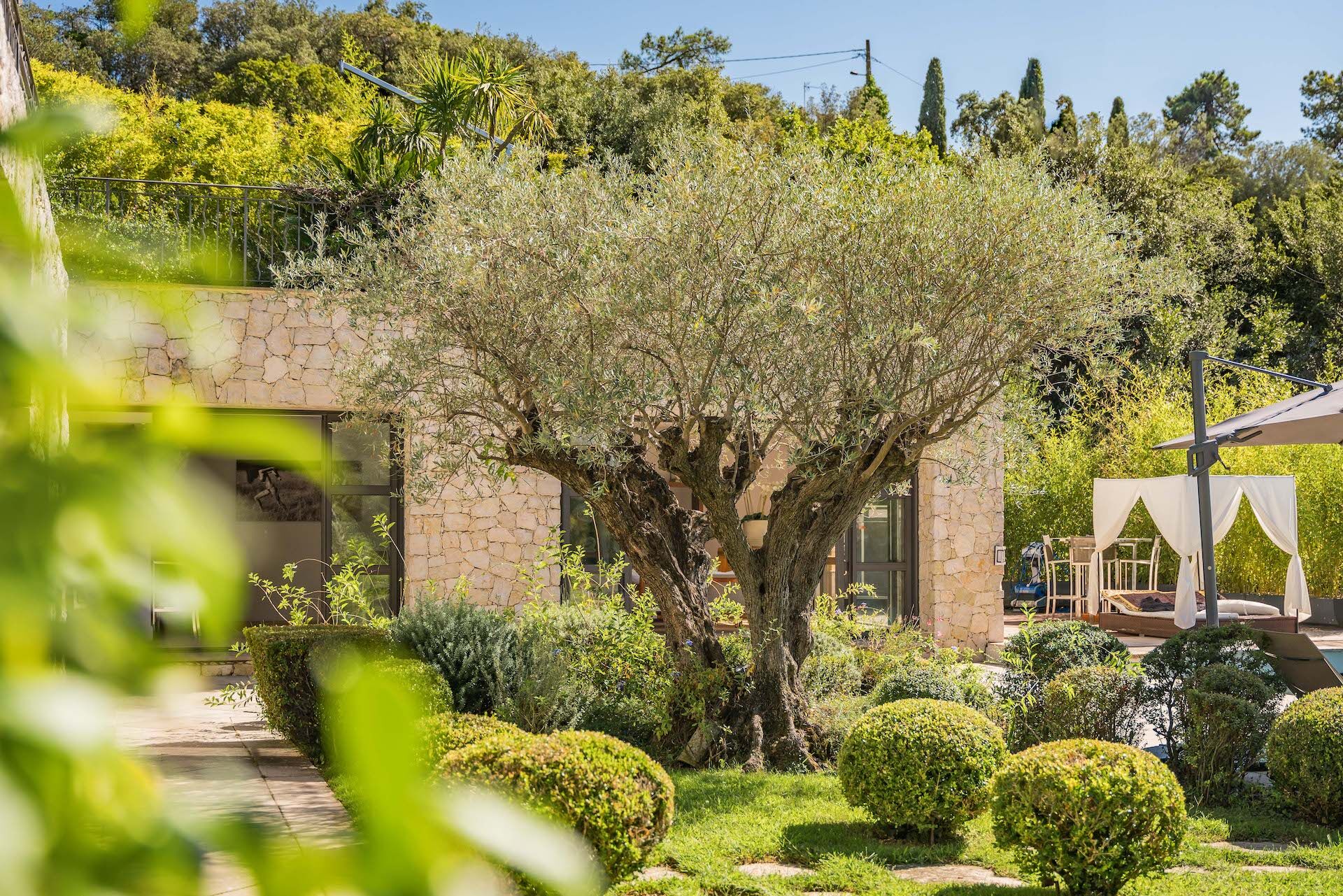 Villa Phoenix Gallary Image 5