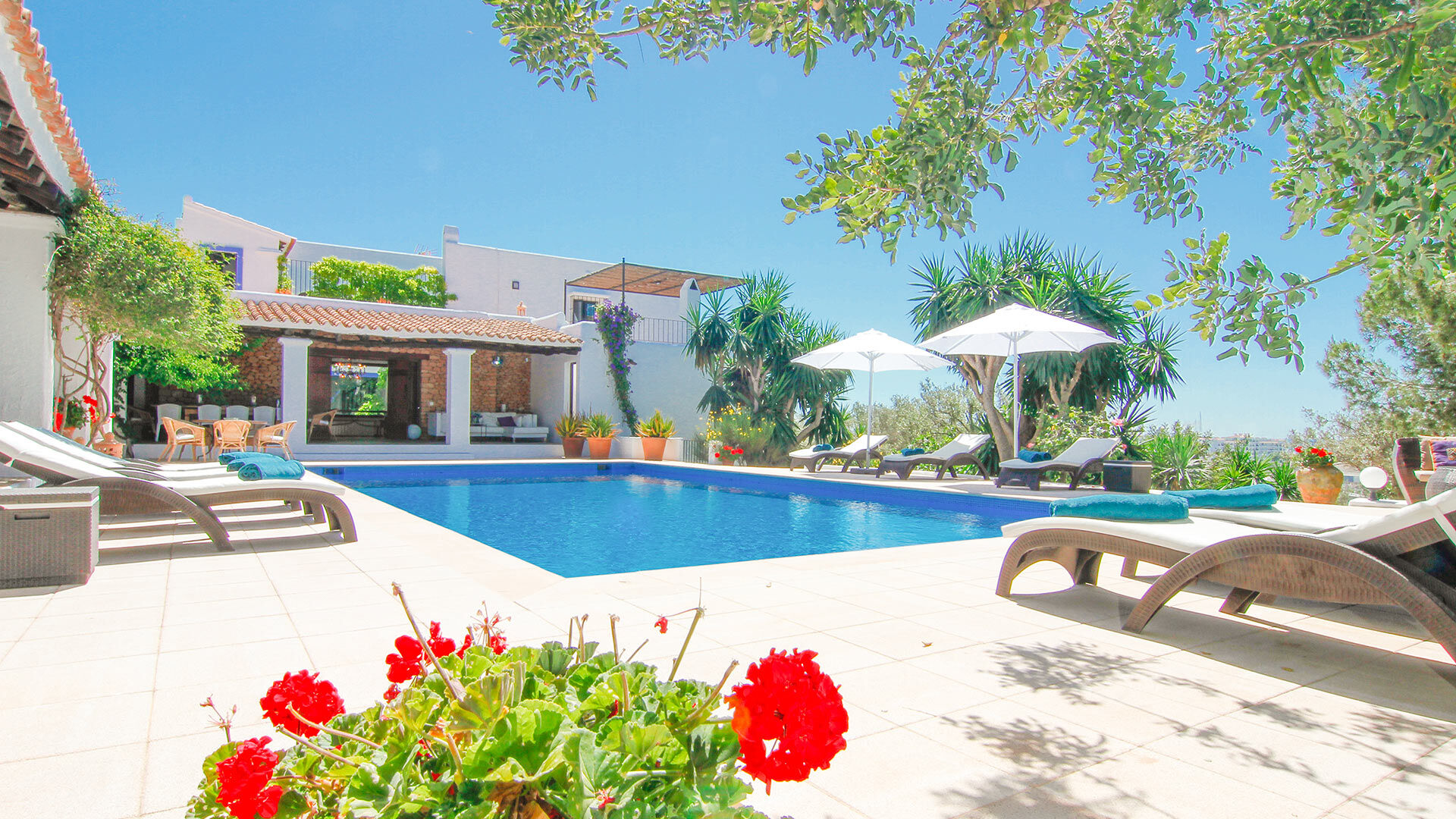 A rear exterior view of Can Bab in Ibiza with beauty fauna in the foreground