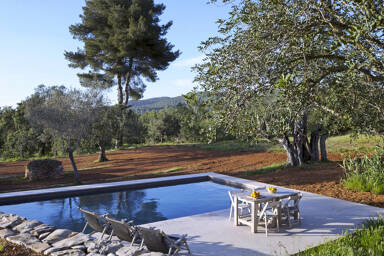 Nature swimming pool in luxury Villa Can Basso in Ibiza