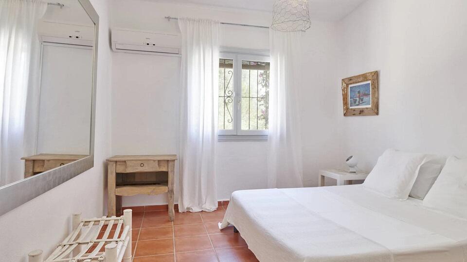 Can Ginger Gallery Image 4
