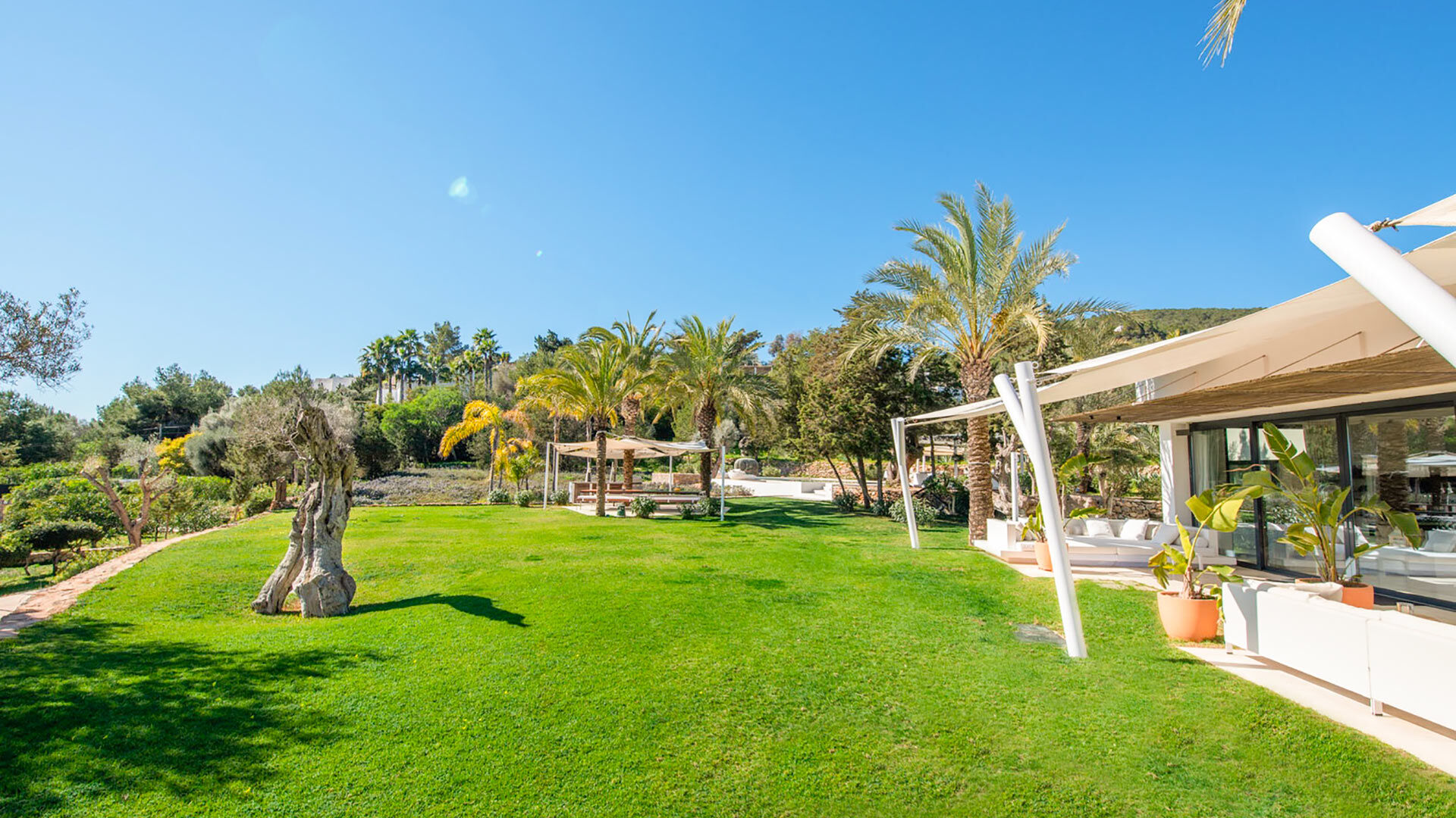Large landscaped garden in Villa Casa Isa in Ibiza with bright green glass