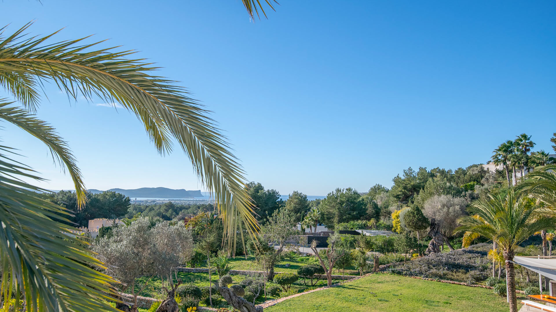 Views of the treetops of Villa Casa Isa in Ibiza
