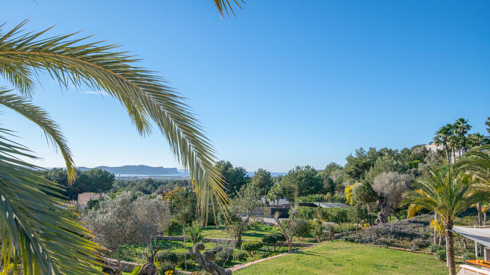 Views of the treetops of Villa Casa Isa in Ibiza