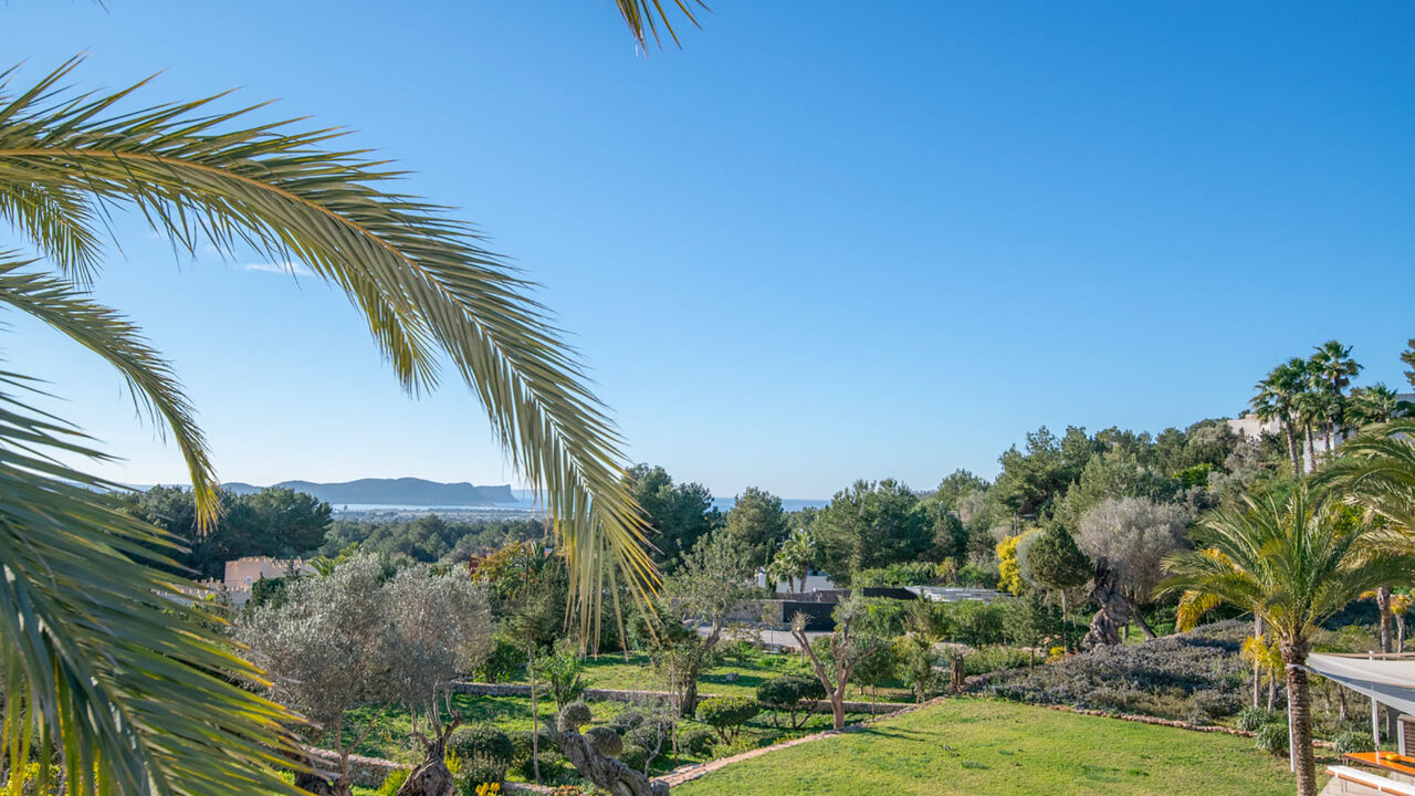 Views of the treetops of Villa Casa Isa in Ibiza
