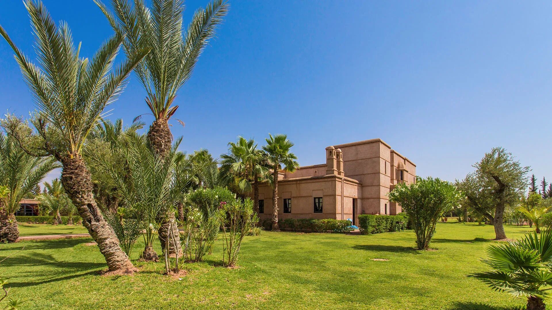 Dar Marja Gallary Image 3