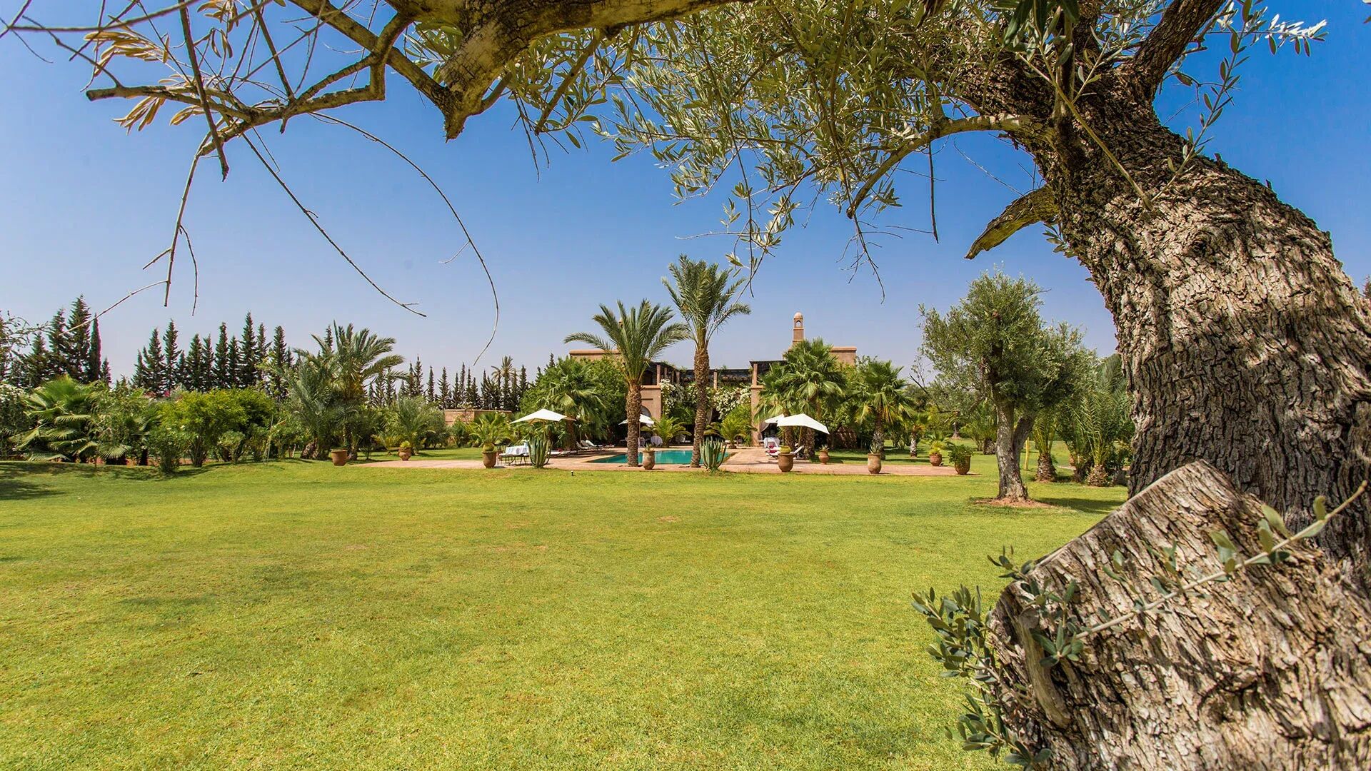 Dar Marja Gallary Image 5