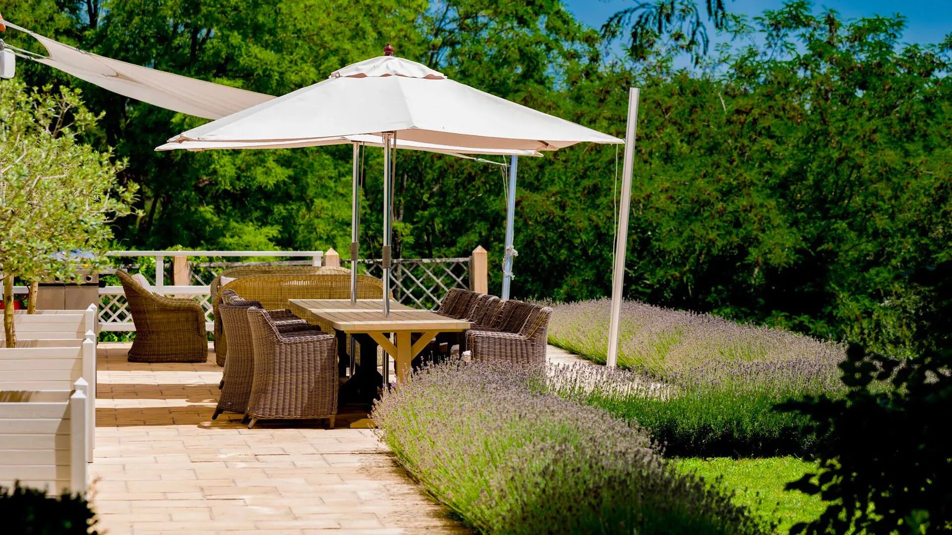 Domaine de la Forêt Gallary Image 1