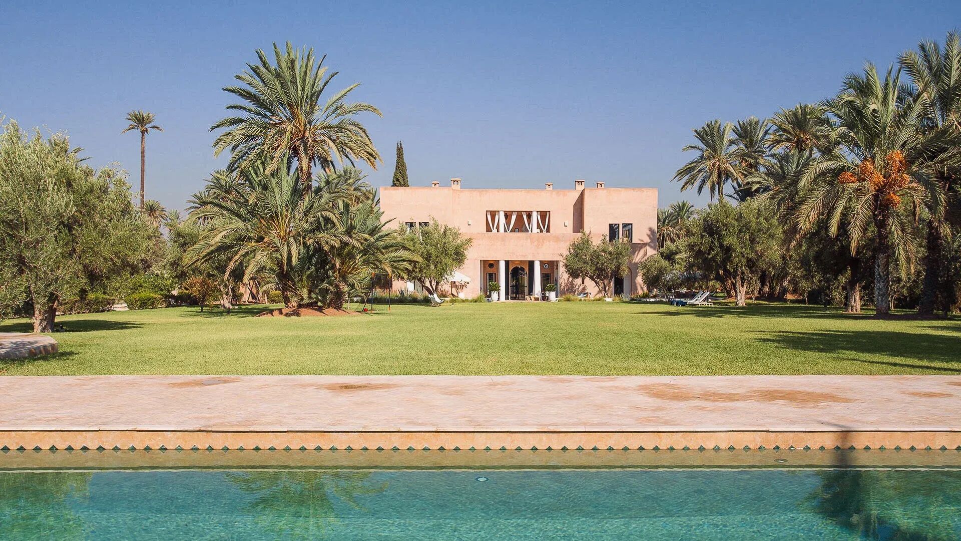 el-zagilda-image-3