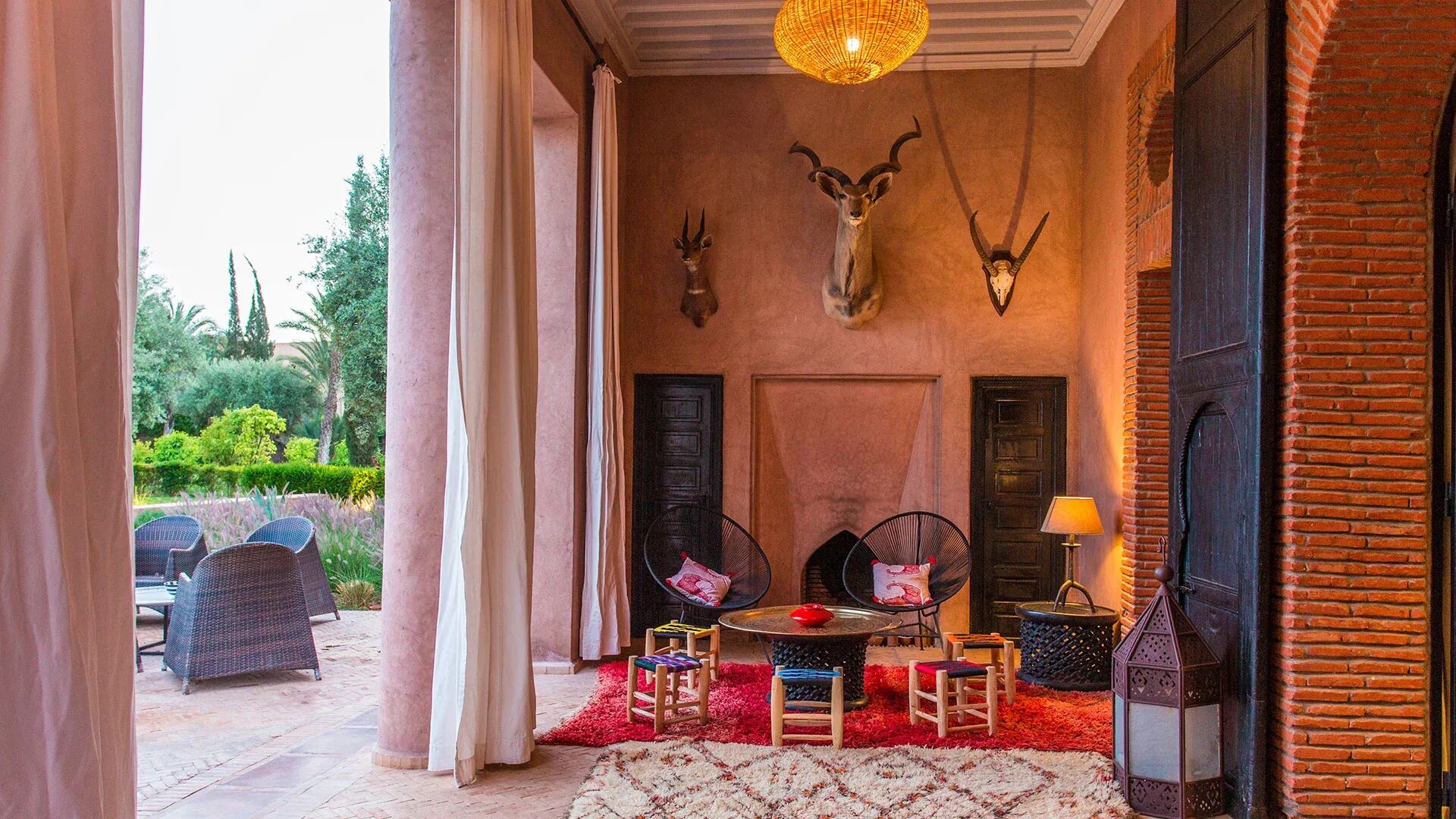 El Zagilda Gallary Image 5