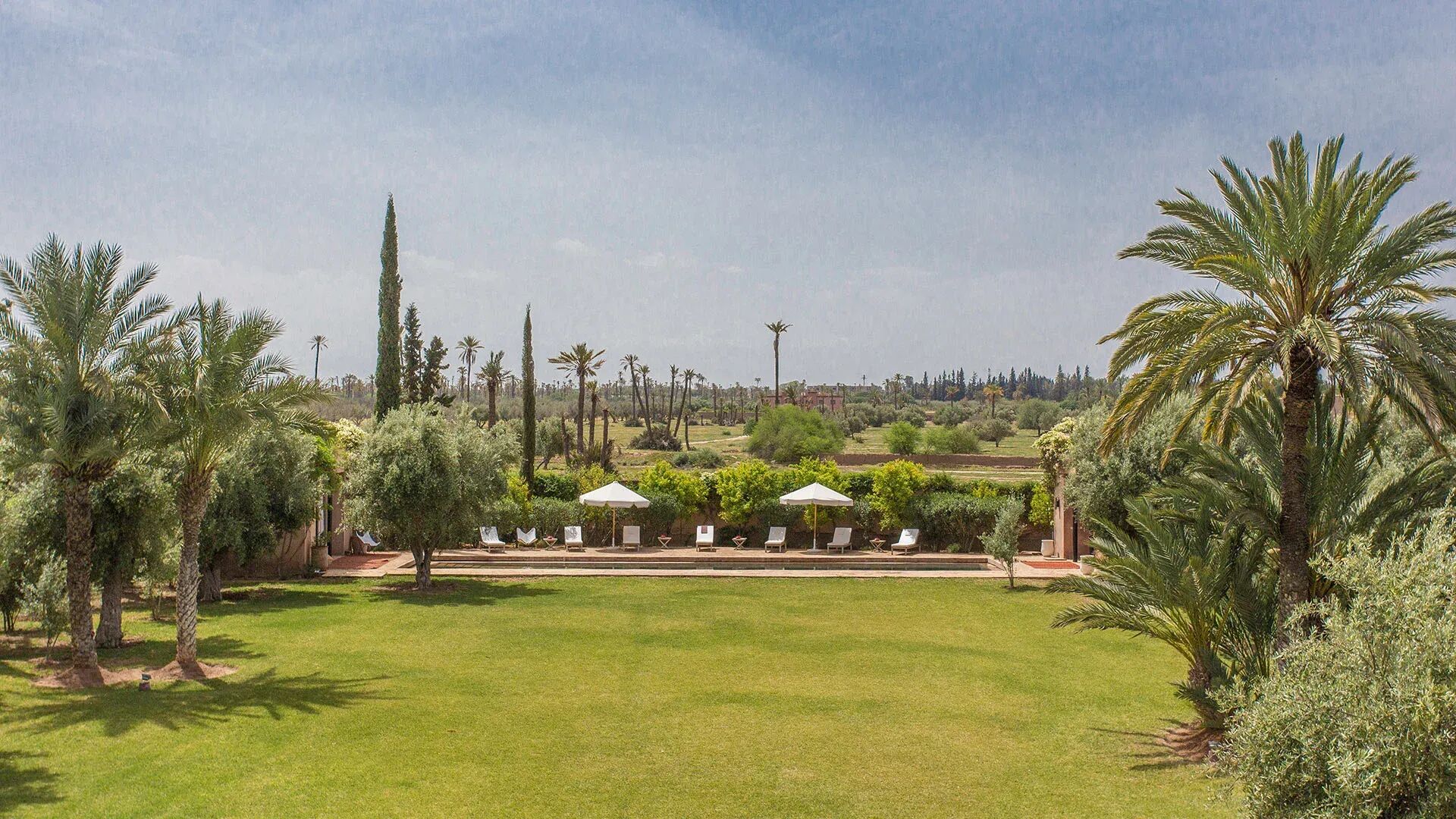 el-zagilda-image-10