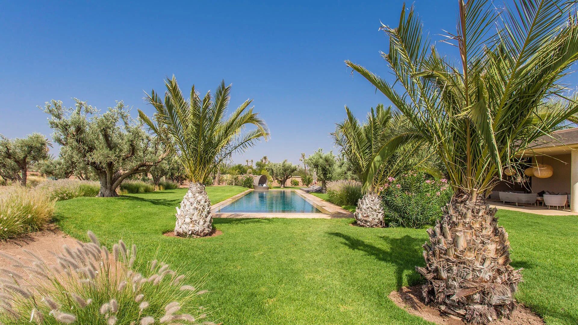 etoile-des-sables-image-9