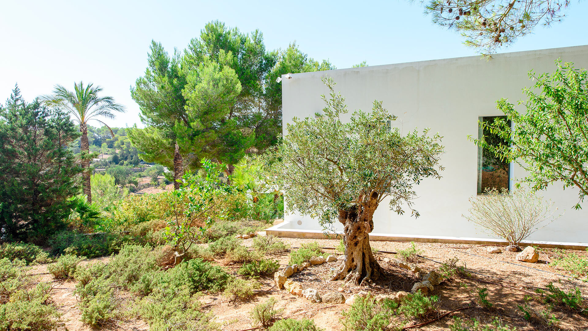 Gardens at luxury Villa Fabrik rental from Bluemoon