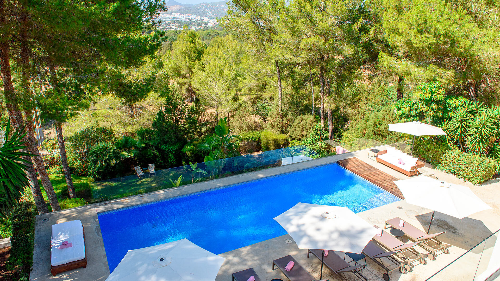 View of the pool at Villa Fabrik in Ibiza and the luscious surroundings