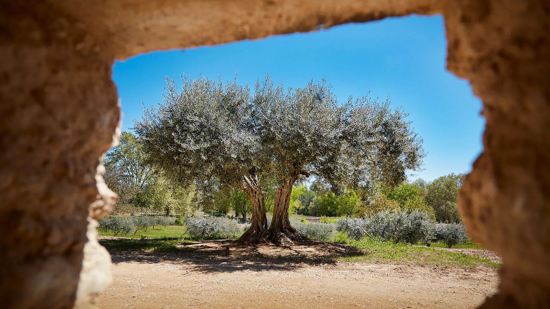 la-bergerie-de-lusannes-image-9