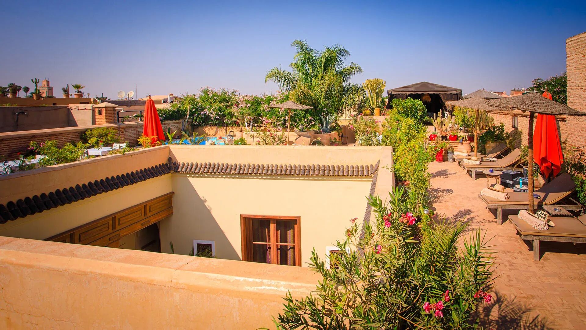 riad-hizad-image-7