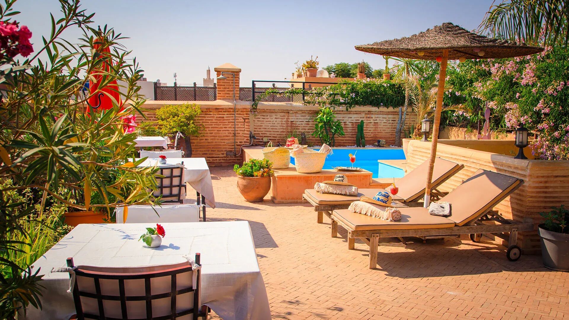 riad-hizad-image-9