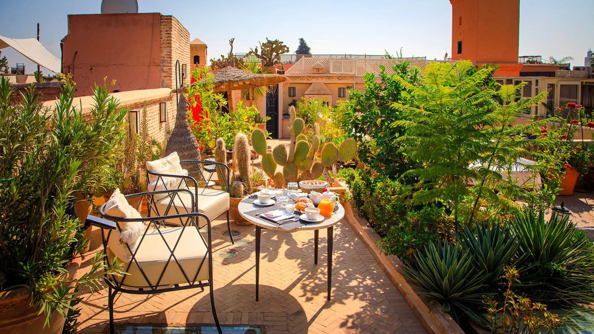 riad-hizad-image-5