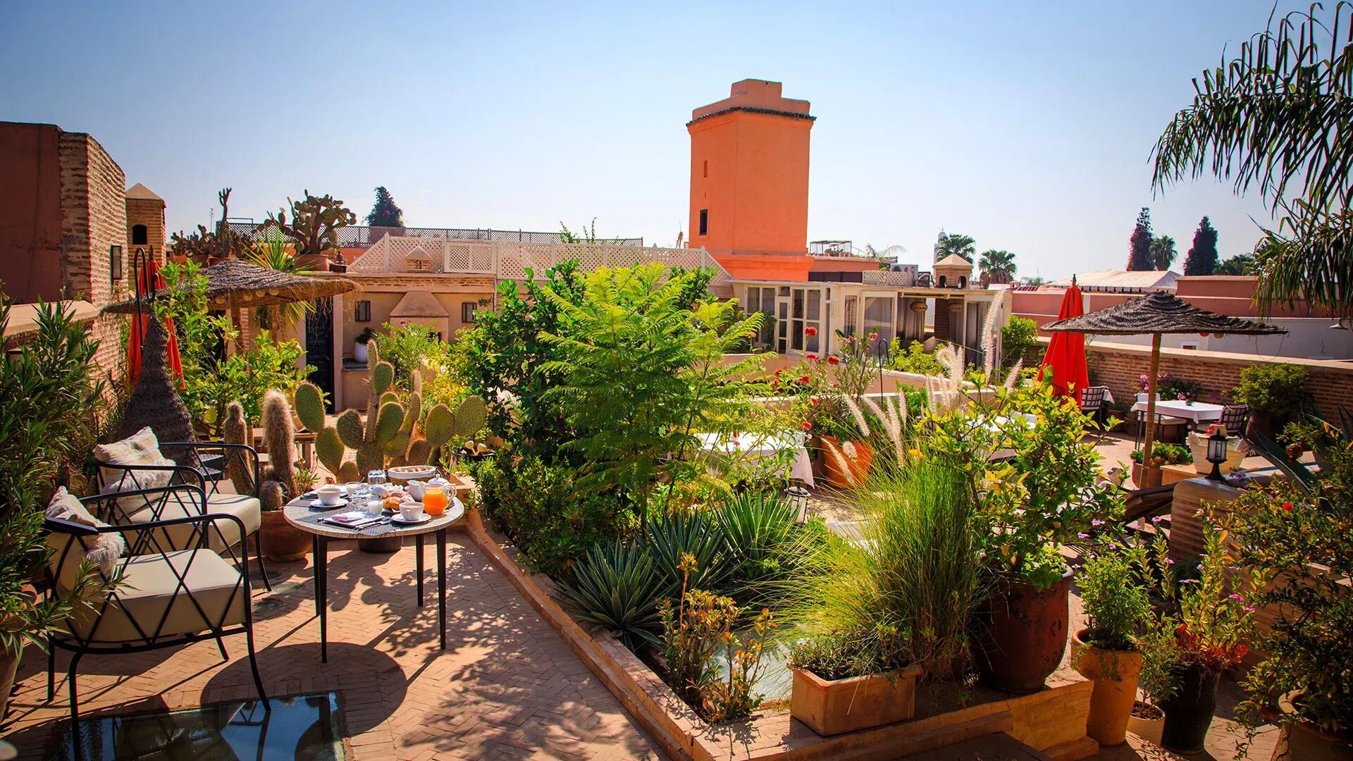 Riad Hizad Gallary Image 2