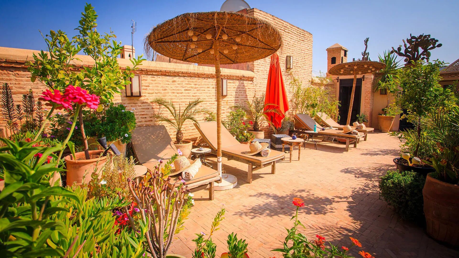 Riad Hizad Gallary Image 5