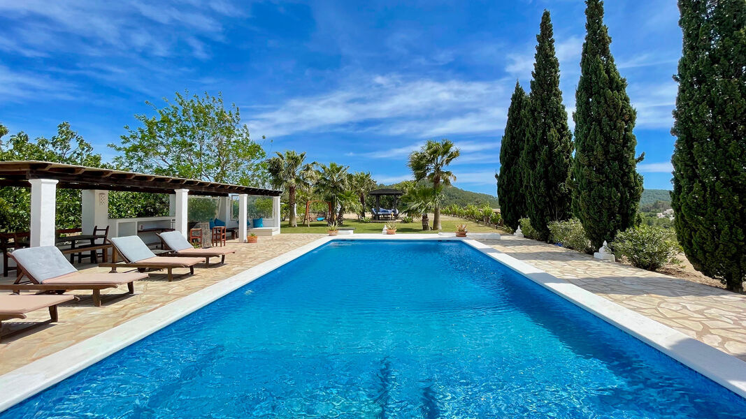 Long pool with beautifully well appointed trees at Villa Torre Pau in Ibiza