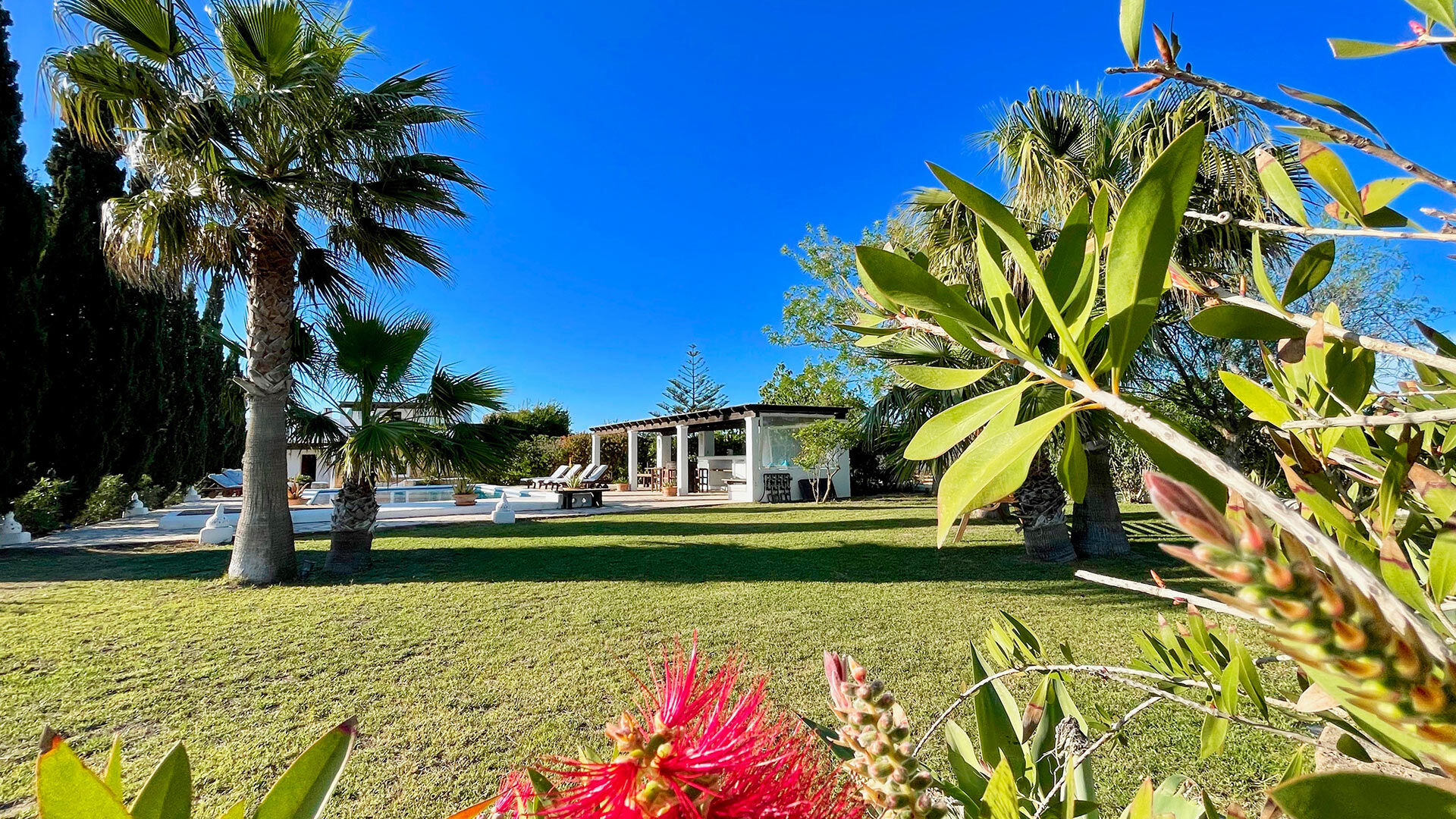 Perfectly manicured landscapes at Villa Torre Pau in Ibiza with pops of red amongst the palm trees and other fauna