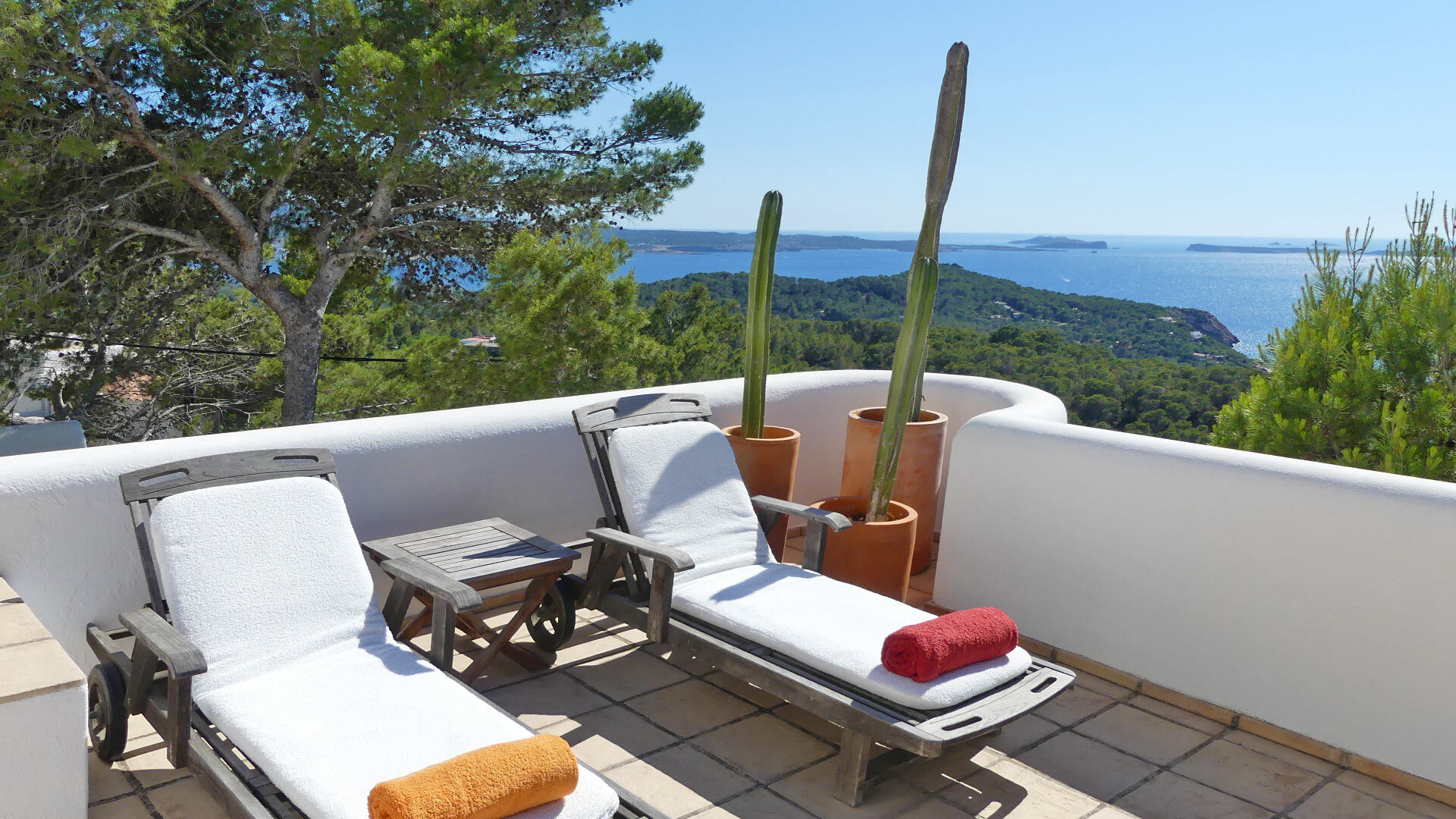 trillo-image-6